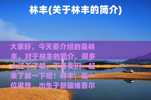 林丰(关于林丰的简介)