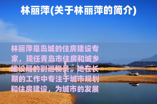 林丽萍(关于林丽萍的简介)