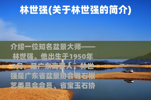 林世强(关于林世强的简介)