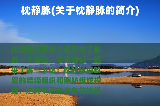 枕静脉(关于枕静脉的简介)