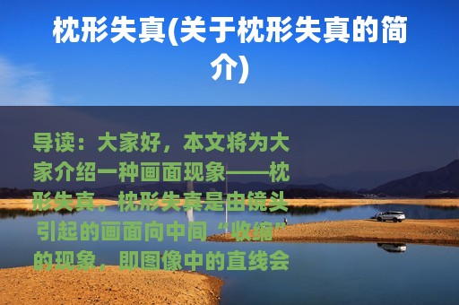 枕形失真(关于枕形失真的简介)
