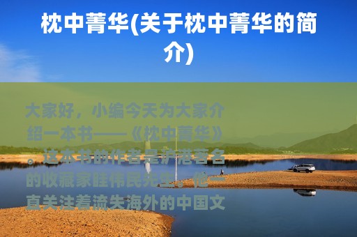 枕中菁华(关于枕中菁华的简介)