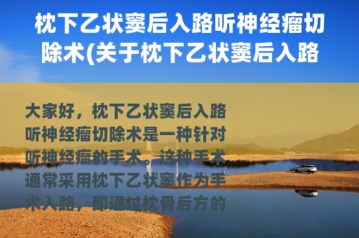 枕下乙状窦后入路听神经瘤切除术(关于枕下乙状窦后入路听神经瘤切除术的简介)