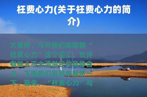 枉费心力(关于枉费心力的简介)