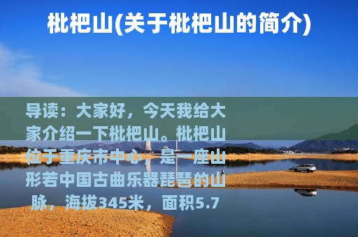 枇杷山(关于枇杷山的简介)