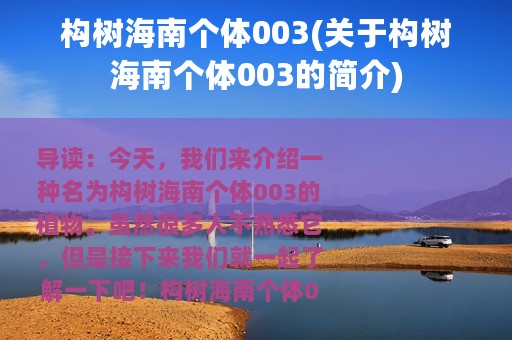 构树海南个体003(关于构树海南个体003的简介)