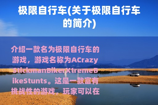 极限自行车(关于极限自行车的简介)