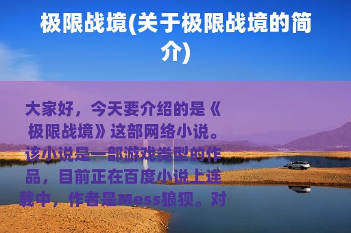 极限战境(关于极限战境的简介)