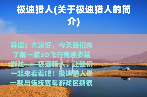 极速猎人(关于极速猎人的简介)