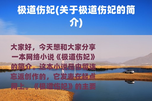 极道伤妃(关于极道伤妃的简介)