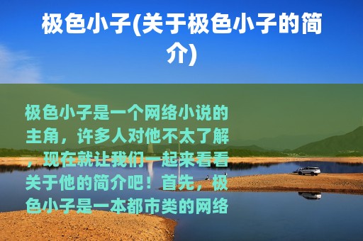 极色小子(关于极色小子的简介)