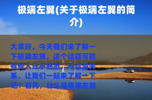 极端左翼(关于极端左翼的简介)