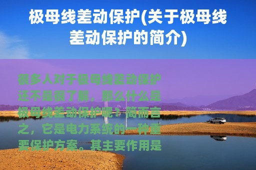 极母线差动保护(关于极母线差动保护的简介)