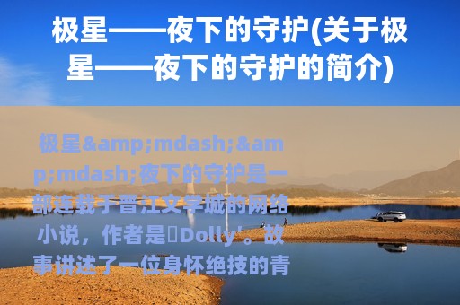 极星——夜下的守护(关于极星——夜下的守护的简介)