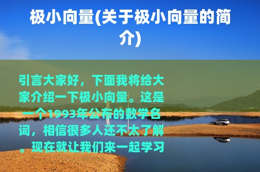 极小向量(关于极小向量的简介)