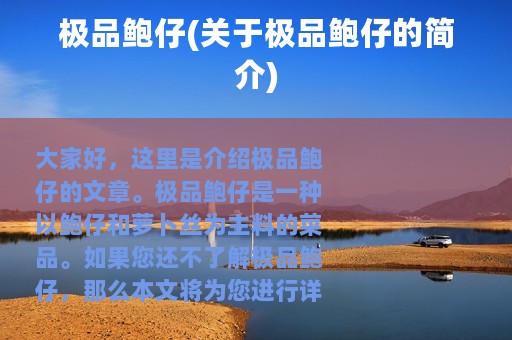 极品鲍仔(关于极品鲍仔的简介)