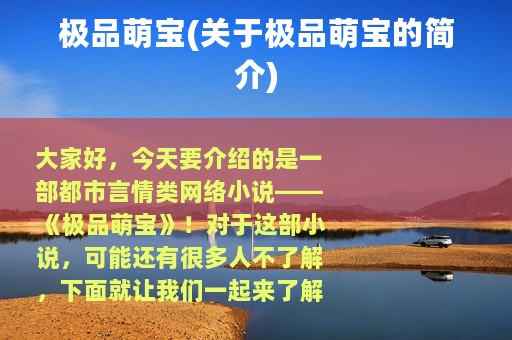 极品萌宝(关于极品萌宝的简介)