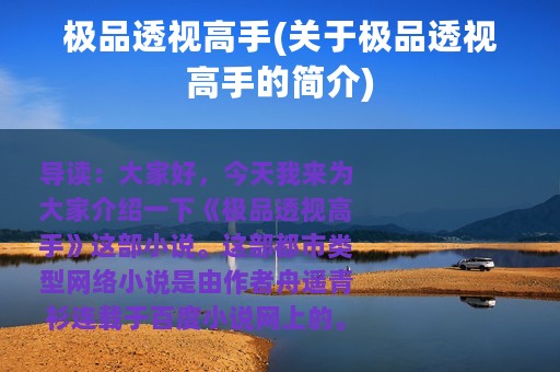 极品透视高手(关于极品透视高手的简介)