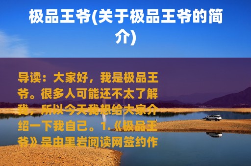 极品王爷(关于极品王爷的简介)