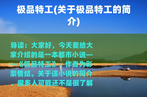 极品特工(关于极品特工的简介)