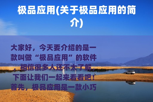 极品应用(关于极品应用的简介)