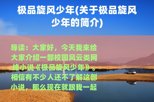 极品旋风少年(关于极品旋风少年的简介)