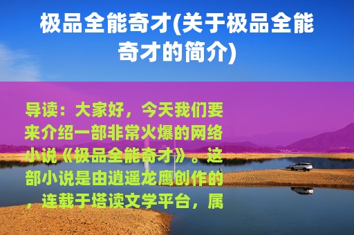 极品全能奇才(关于极品全能奇才的简介)