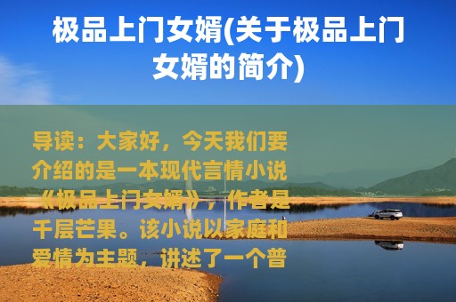 极品上门女婿(关于极品上门女婿的简介)