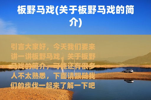 板野马戏(关于板野马戏的简介)