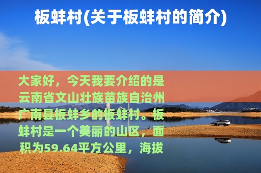 板蚌村(关于板蚌村的简介)