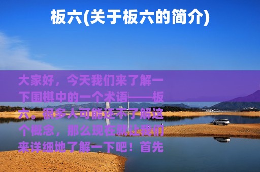 板六(关于板六的简介)