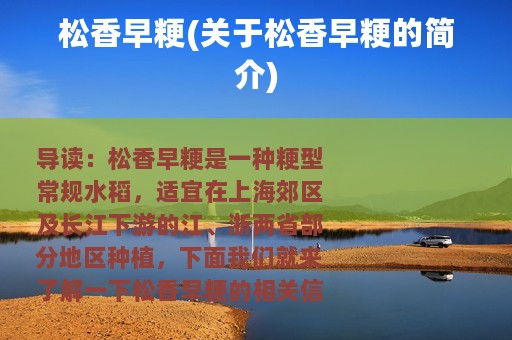 松香早粳(关于松香早粳的简介)