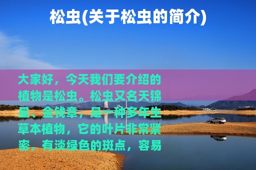 松虫(关于松虫的简介)