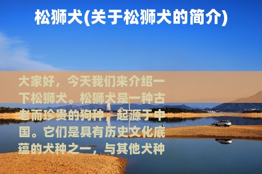松狮犬(关于松狮犬的简介)