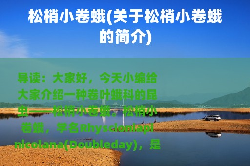 松梢小卷蛾(关于松梢小卷蛾的简介)