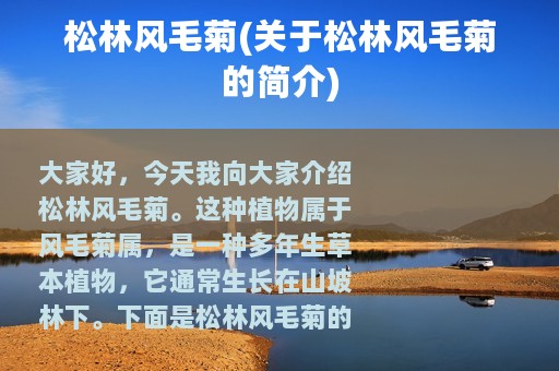 松林风毛菊(关于松林风毛菊的简介)