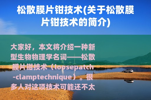 松散膜片钳技术(关于松散膜片钳技术的简介)