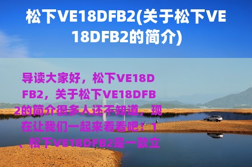 松下VE18DFB2(关于松下VE18DFB2的简介)