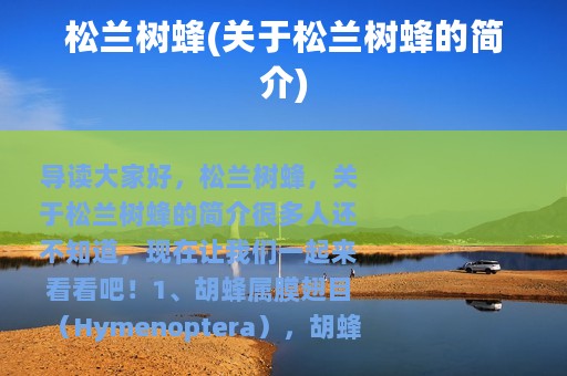 松兰树蜂(关于松兰树蜂的简介)