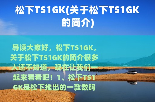 松下TS1GK(关于松下TS1GK的简介)