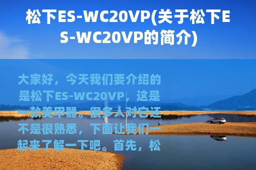 松下ES-WC20VP(关于松下ES-WC20VP的简介)