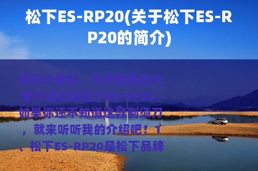 松下ES-RP20(关于松下ES-RP20的简介)