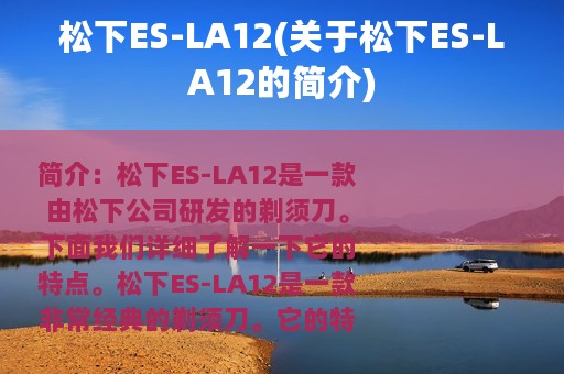 松下ES-LA12(关于松下ES-LA12的简介)