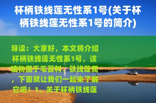 杯柄铁线莲无性系1号(关于杯柄铁线莲无性系1号的简介)