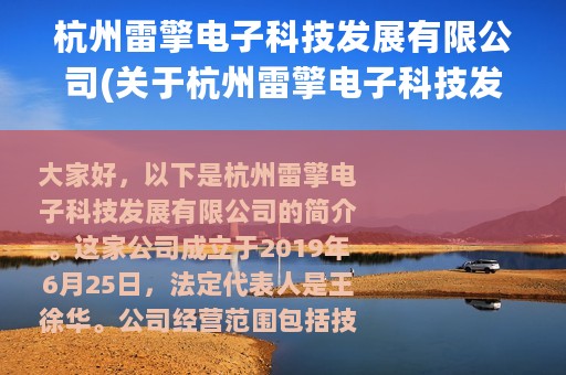 杭州雷擎电子科技发展有限公司(关于杭州雷擎电子科技发展有限公司的简介)
