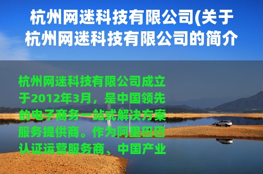 杭州网迷科技有限公司(关于杭州网迷科技有限公司的简介)