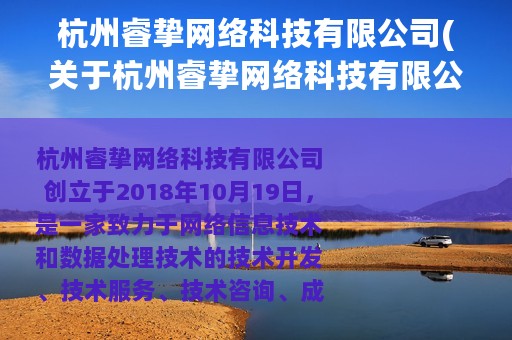 杭州睿挚网络科技有限公司(关于杭州睿挚网络科技有限公司的简介)