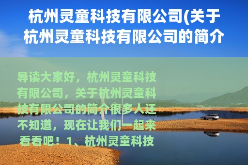 杭州灵童科技有限公司(关于杭州灵童科技有限公司的简介)