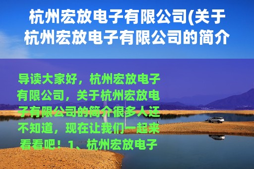 杭州宏放电子有限公司(关于杭州宏放电子有限公司的简介)