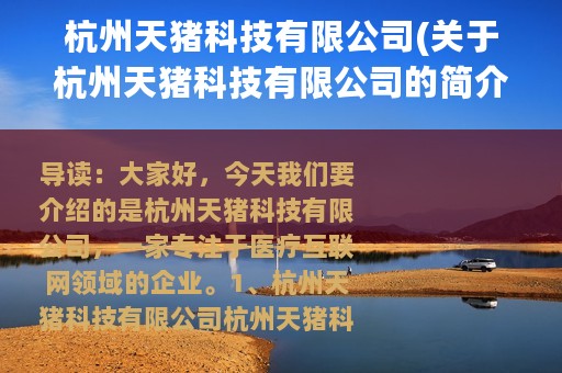 杭州天猪科技有限公司(关于杭州天猪科技有限公司的简介)